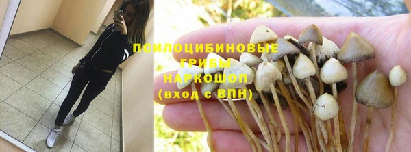 mdma Горняк