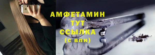 ПСИЛОЦИБИНОВЫЕ ГРИБЫ Верея