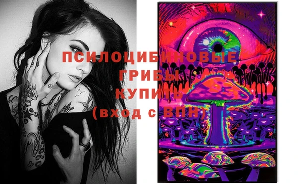 дживик Санкт-Петербург