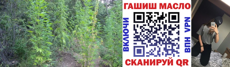 ТГК Wax  нарко площадка клад  Заводоуковск 