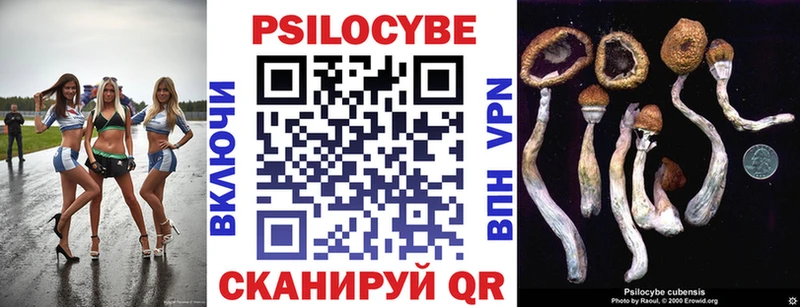 где купить наркоту  Заводоуковск  Псилоцибиновые грибы мухоморы 